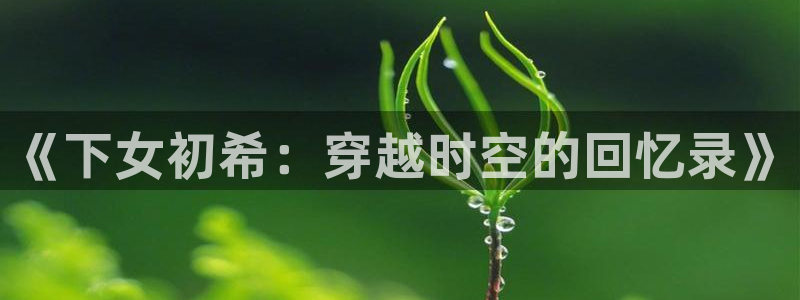 嘿咻嘿咻嘿咻漫画：《下女初希：穿越时空的回忆录》